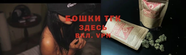 ГАЛЛЮЦИНОГЕННЫЕ ГРИБЫ Верхнеуральск